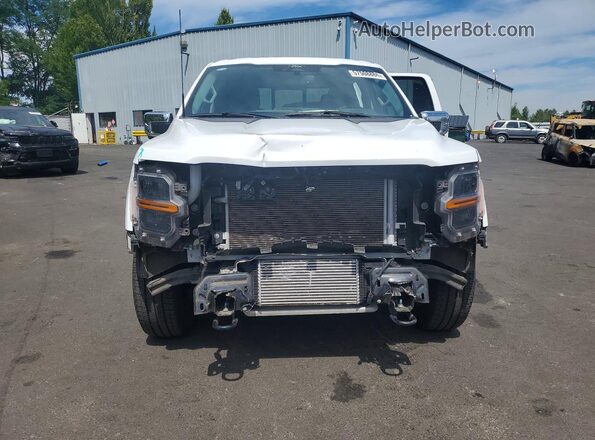 1FTEW3LP7RKE50762 2024 FORD F150 Белый Вид спереди