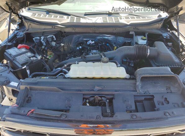 1FTEW3LPXSKE39843 2025 FORD F150 Gray Սալոնի հետևի տեսք
