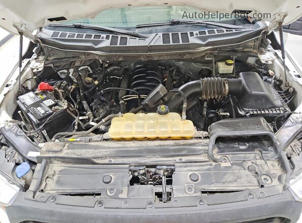 1FTEX1C58NKD52091 2022 FORD F150 Белый Вид задней части салона