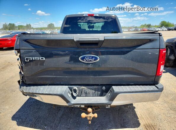 1FTEX1C86HFB36215 2017 FORD F150 Gray უკანა ხედი