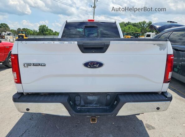 1FTEX1CG0GKF56162 2016 FORD F150 White Widok z tyłu