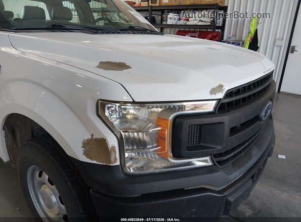1FTEX1CP1KKD85365 2019 FORD F150 White Widok z przodu