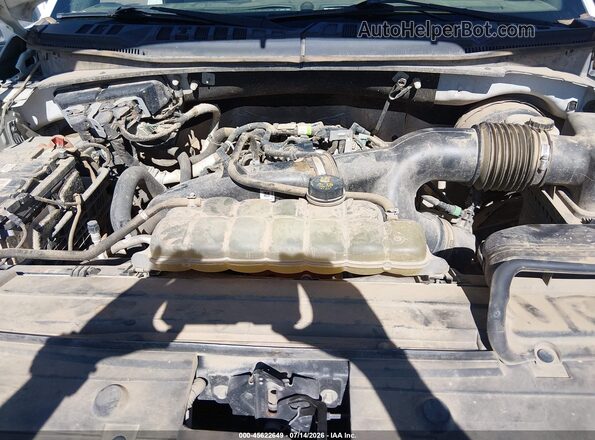 1FTEX1CP1KKD85365 2019 FORD F150 White Widok z tyłu