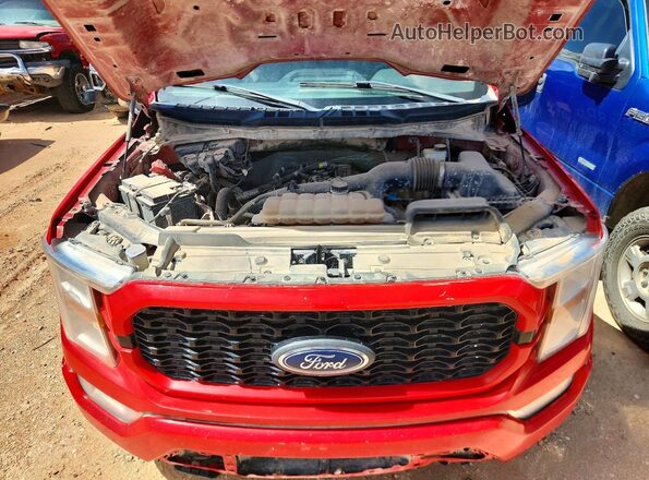 1FTEX1CP1MKD60842 2021 FORD F150 Red Вид задньої частини салону