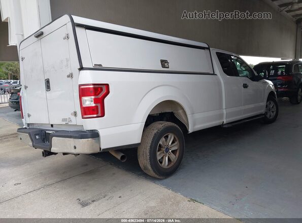 1FTEX1CP2KKC43493 2019 FORD F150 White Tył prawy