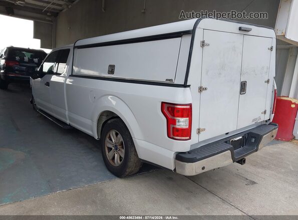 1FTEX1CP2KKC43493 2019 FORD F150 White Tył lewy
