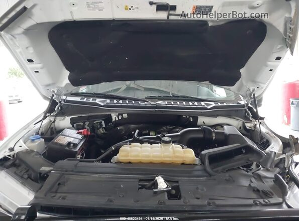 1FTEX1CP2KKC43493 2019 FORD F150 White Widok z tyłu