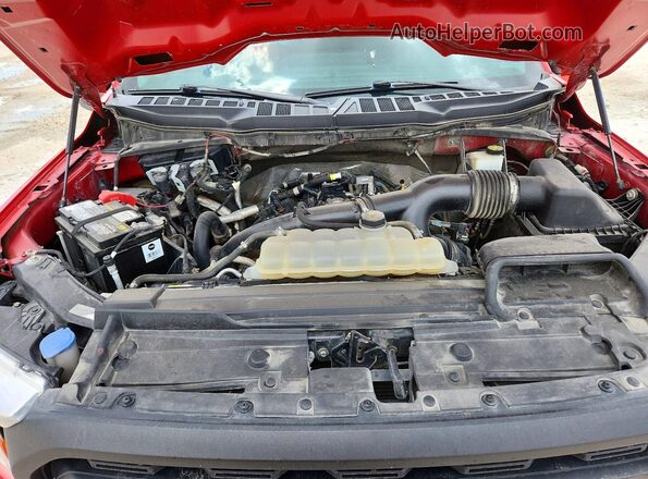 1FTEX1CP4MKD85315 2021 FORD F150 Красный Вид задней части салона
