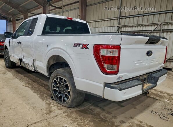 1FTEX1CP6PKF65982 2023 FORD F150 White Tył lewy