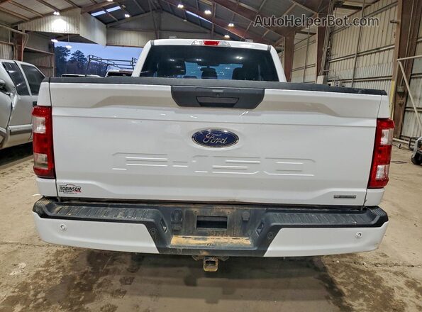 1FTEX1CP6PKF65982 2023 FORD F150 White Widok z tyłu
