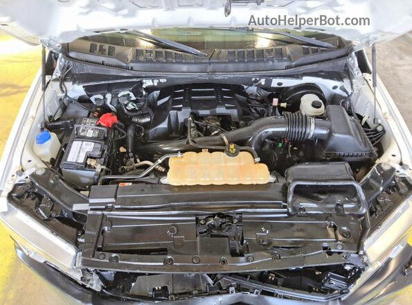 1FTEX1CP7JKE87316 2018 FORD F150 Белый Вид задней части салона
