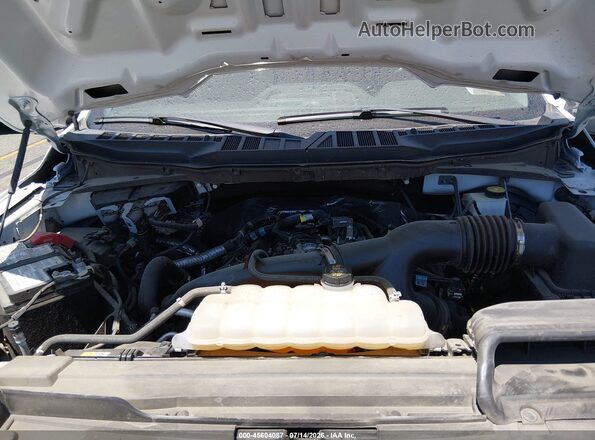 1FTEX1CP8PKF43384 2023 FORD F150 White Rear view