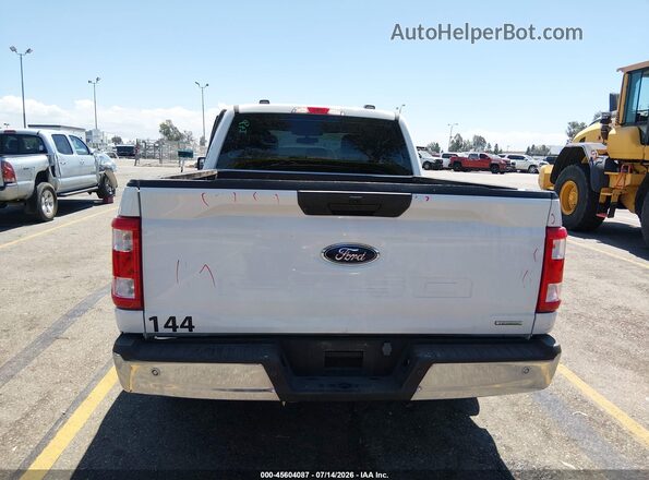 1FTEX1CP8PKF43384 2023 FORD F150 White 