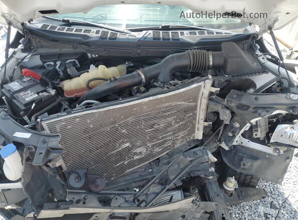 1FTEX1CP9PKD01378 2023 FORD F150 White 