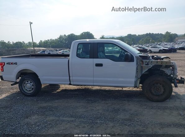 1FTEX1E59KKE40995 2019 FORD F150 Белый Вид задней части салона