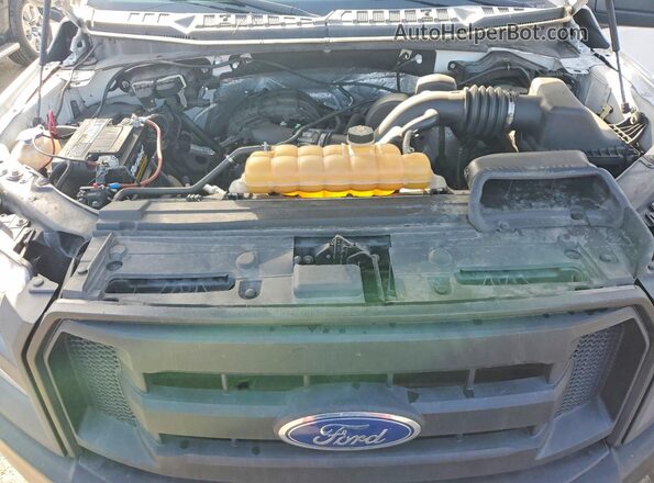 1FTEX1E87GFC16019 2016 FORD F150 White უკანა სალონის ხედი