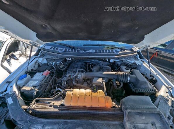 1FTEX1EB3JFA22557 2018 FORD F150 White Rear interior view