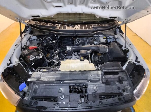 1FTEX1EB4MKD57077 2021 FORD F150 White Вид задньої частини салону