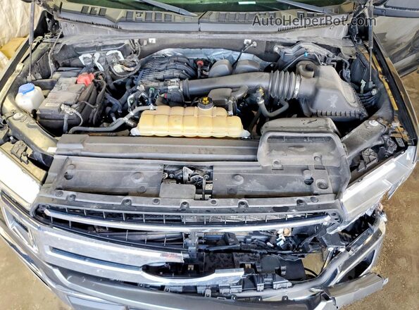1FTEX1EB5LKD37192 2020 FORD F150 Gray უკანა სალონის ხედი