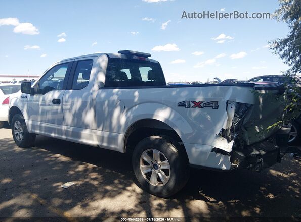 1FTEX1EBXJFD71344 2018 FORD F150 Белый Панорамный вид салона 360°