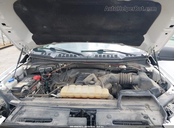 1FTEX1EF1HKD87694 2017 FORD F150 White Вид ззаду