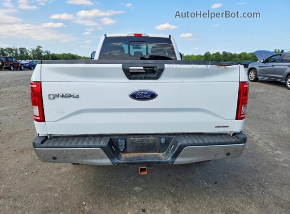 1FTEX1EFXGKF41818 2016 FORD F150 White Вид ззаду