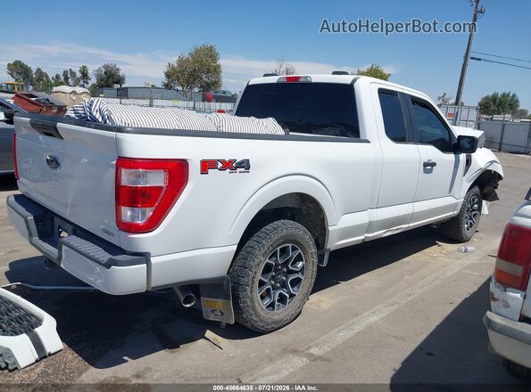 1FTEX1EP0PKF53520 2023 FORD F150 White Trasero derecho