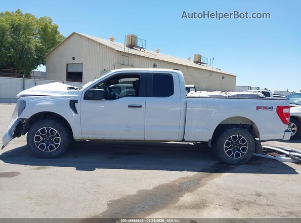 1FTEX1EP0PKF53520 2023 FORD F150 White Vista interior de 360 grados