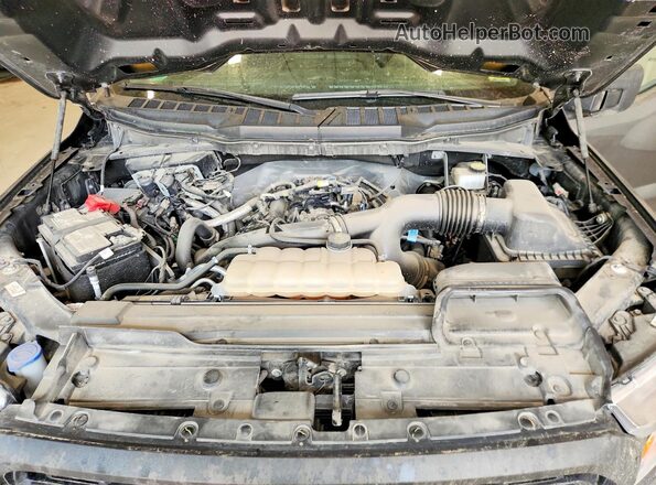 1FTEX1EP2NFC45867 2022 FORD F150 Серый Вид задней части салона