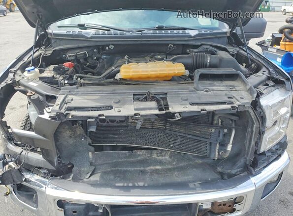 1FTEX1EP3GFC53494 2016 FORD F150 Серый Вид задней части салона
