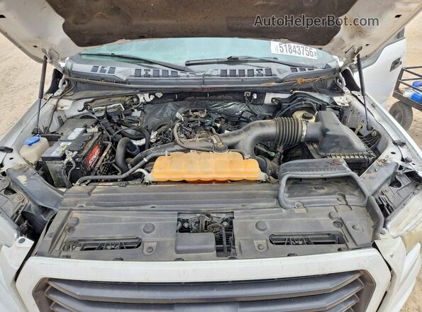 1FTEX1EP4HFA95376 2017 FORD F150 White უკანა სალონის ხედი