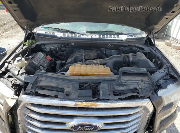 1FTEX1EP6GFD17298 2016 FORD F150 Brown Widok wnętrza z tyłu