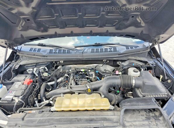 1FTEX1EP6KKF24323 2019 FORD F150 Gray Vista interior trasera