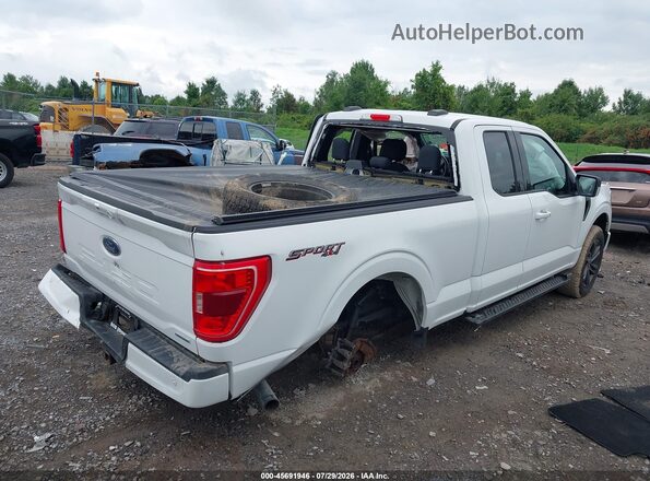 1FTEX1EP7MFA06880 2021 FORD F150 White Задня права чверть