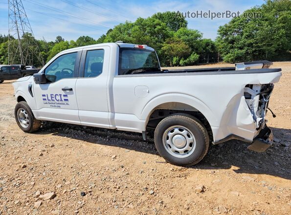 1FTEX1K87SKD54955 2025 FORD F150 White Задня ліва чверть