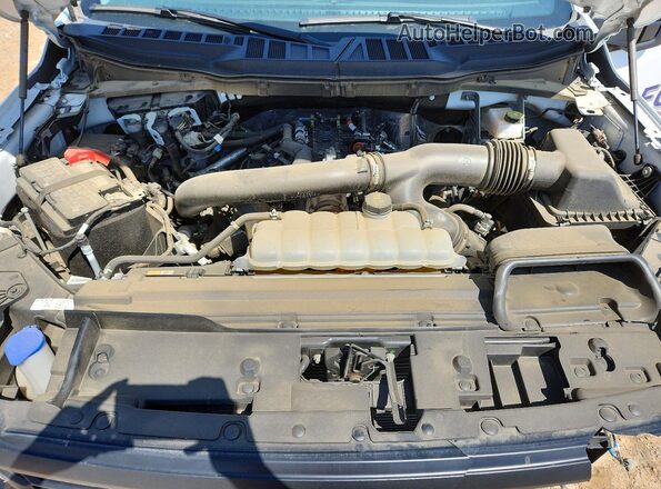 1FTEX1K87SKD54955 2025 FORD F150 White Вид задньої частини салону