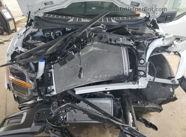 1FTEX1KP7SKE07726 2025 FORD F150 White Вид задньої частини салону