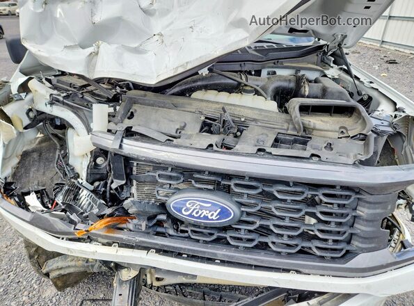 1FTEX2LP4SKF61587 2025 FORD F150 White Widok wnętrza z tyłu