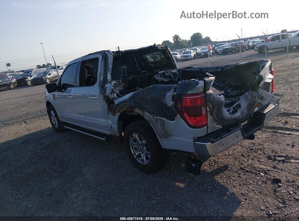 1FTFW1CD1PFD27169 2023 FORD F150 Gray Tył lewy