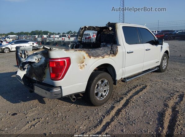 1FTFW1CD1PFD27169 2023 FORD F150 Gray Tył prawy