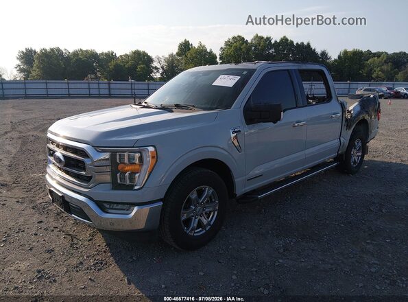 1FTFW1CD1PFD27169 2023 FORD F150 Gray Przód lewy
