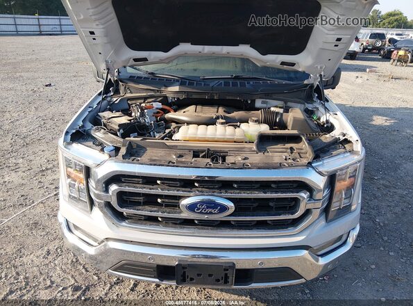 1FTFW1CD1PFD27169 2023 FORD F150 Gray Widok z tyłu
