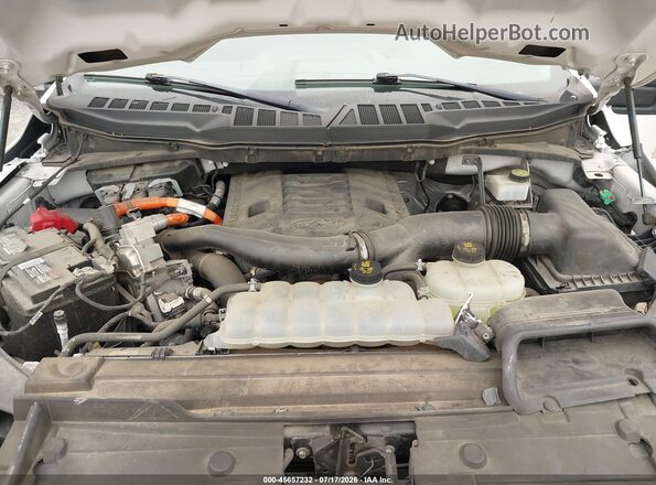 1FTFW1CD2PFB48929 2023 FORD F150 White Вид ззаду