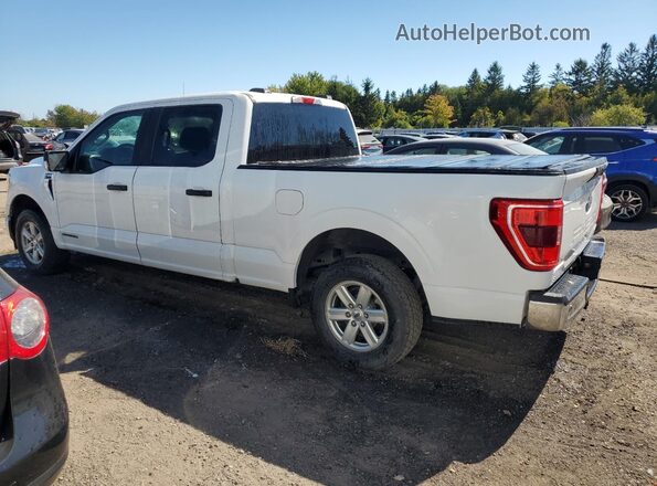 1FTFW1CD5MFB18948 2021 FORD F150 White Задня ліва чверть