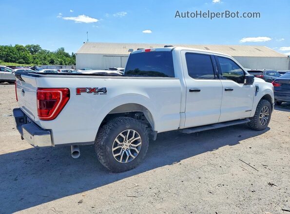 1FTFW1E13MFC73503 2021 FORD F150 White Rear right