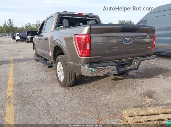 1FTFW1E51PFC34285 2023 FORD F150 Gold Trasero izquierdo