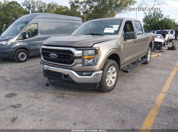 1FTFW1E51PFC34285 2023 FORD F150 Gold Vista tres cuartos delantera izquierda