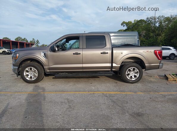 1FTFW1E51PFC34285 2023 FORD F150 Gold Vista interior de 360 grados