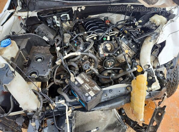 1FTFW1E53KKD03672 2019 FORD F150 White Սալոնի հետևի տեսք