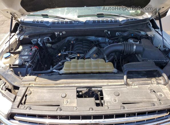 1FTFW1E53LKD68183 2020 FORD F150 Белый Вид задней части салона